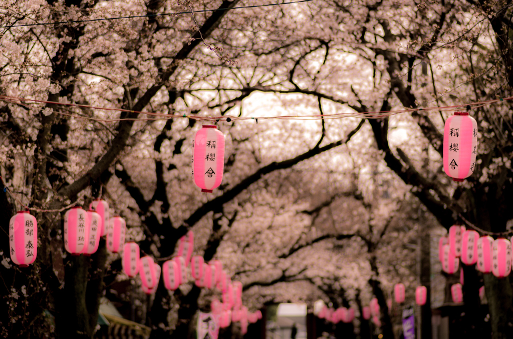 花曇り