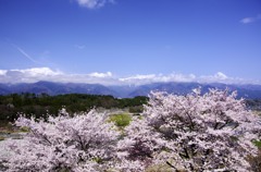 空、山、桜