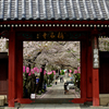 桜門