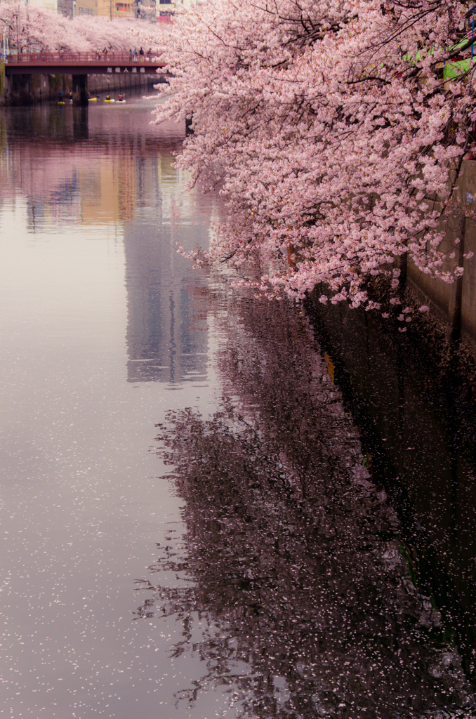 水面の横浜