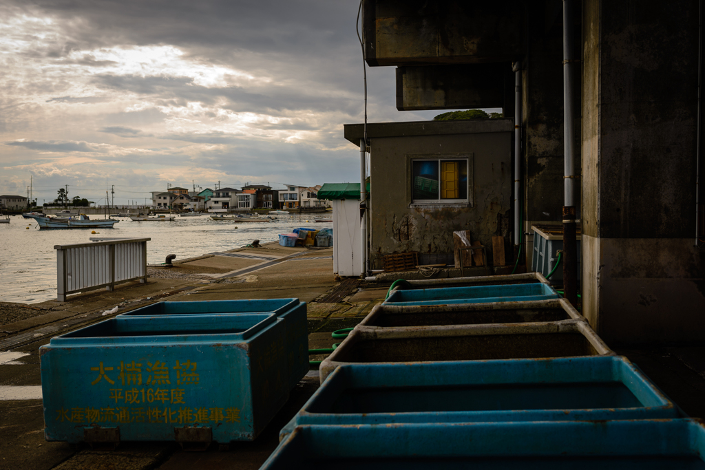 梅雨時の魚市場