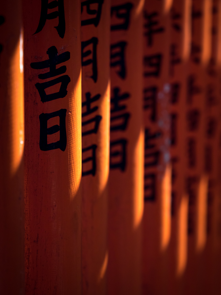 吉日の予感