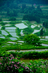 ニッポンの原風景