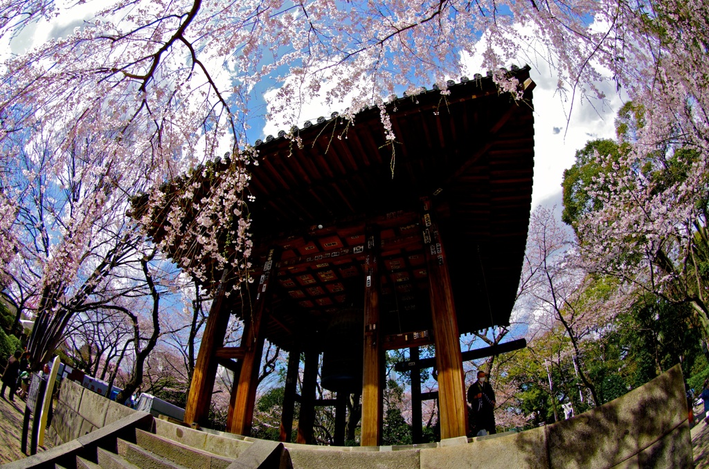 花時（はなどき）の鐘