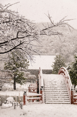 称名寺、雪景色