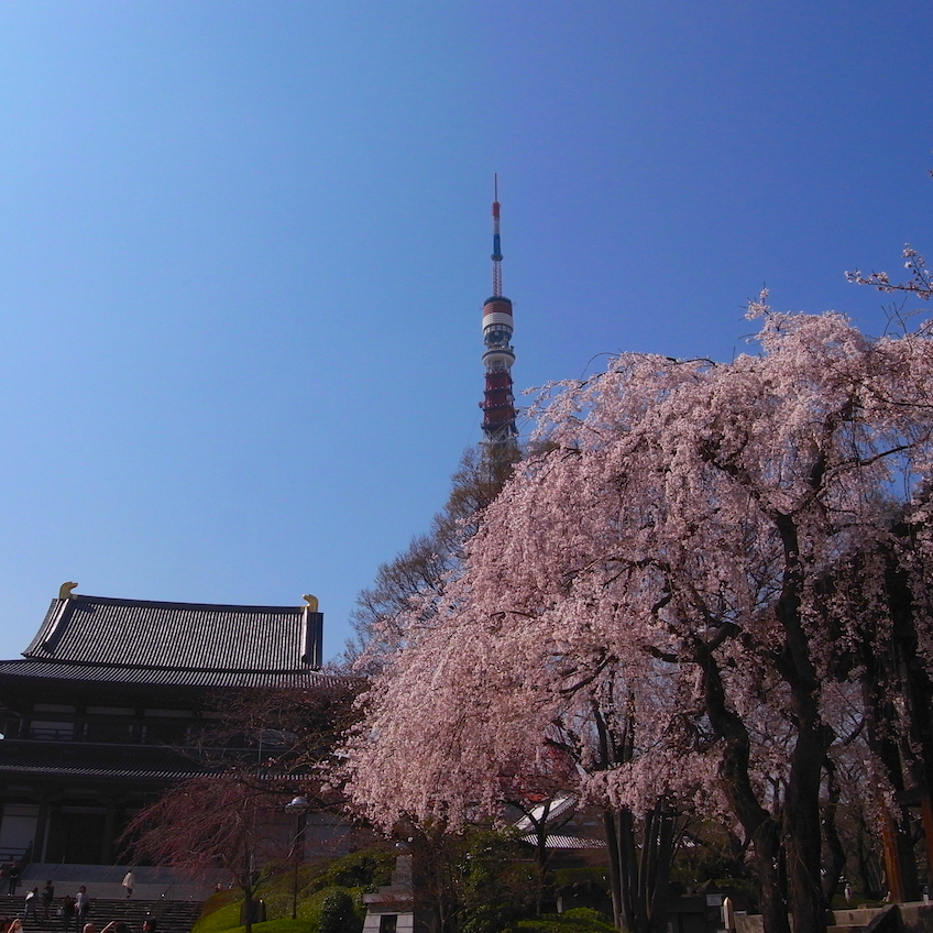 東京春爛漫