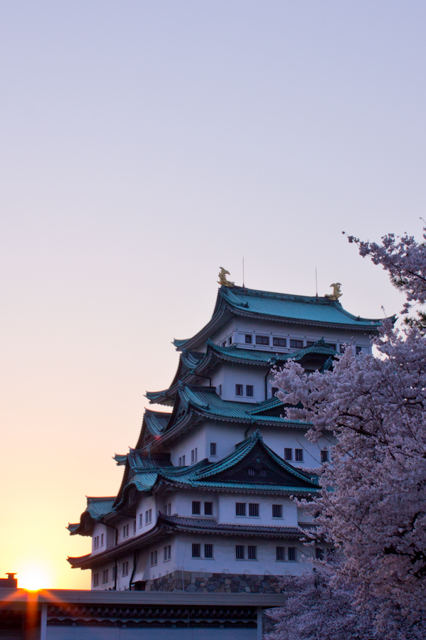 花の夕暮れ