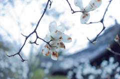 時を過ぎて　今は
