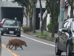 びっくりしたなぁ～もうぅ～