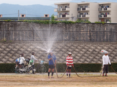 お水は、いらないですか？