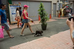 Walking with her dog and boy