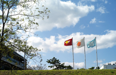蒼い空と風と旗