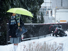 雪の朝