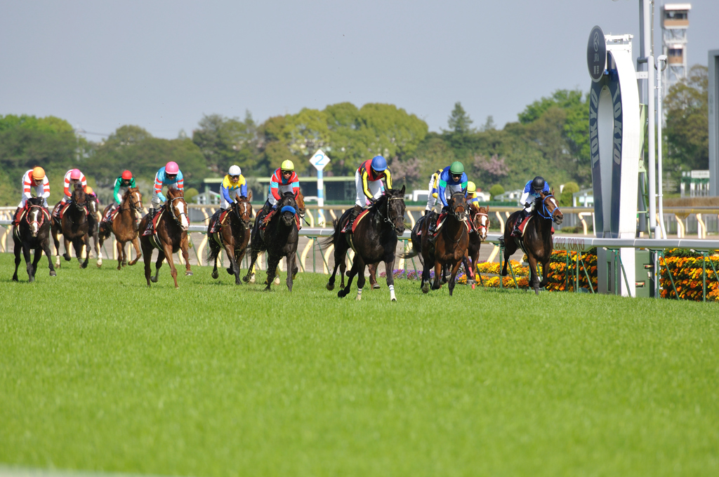 「２４００ｍ彼方、栄光はただひとつ」