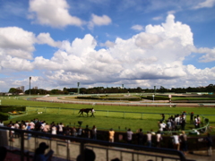 ある秋の日【中山競馬場】2012