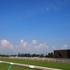 新潟競馬場の空2012/8/26