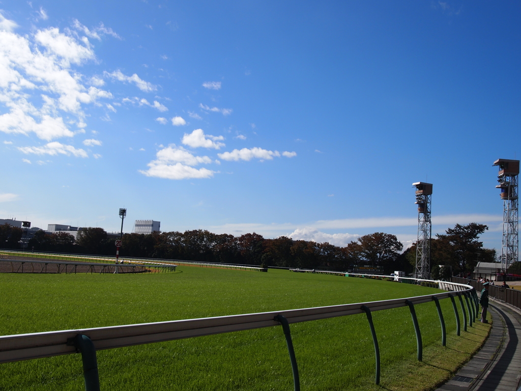 東京競馬場の空2011/11/12