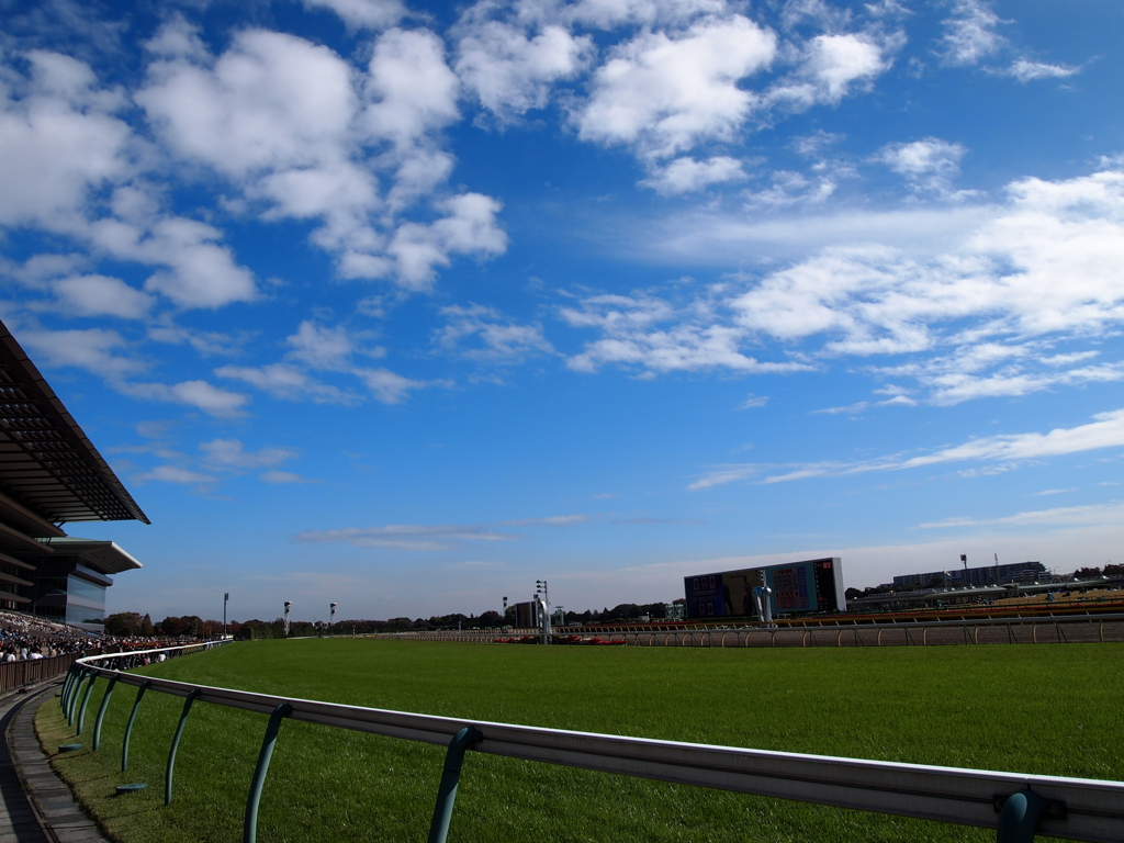 東京競馬場の空2011/11/12