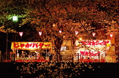 桜と屋台