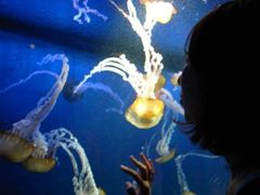 水族館