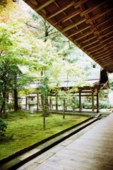 京都～龍安寺