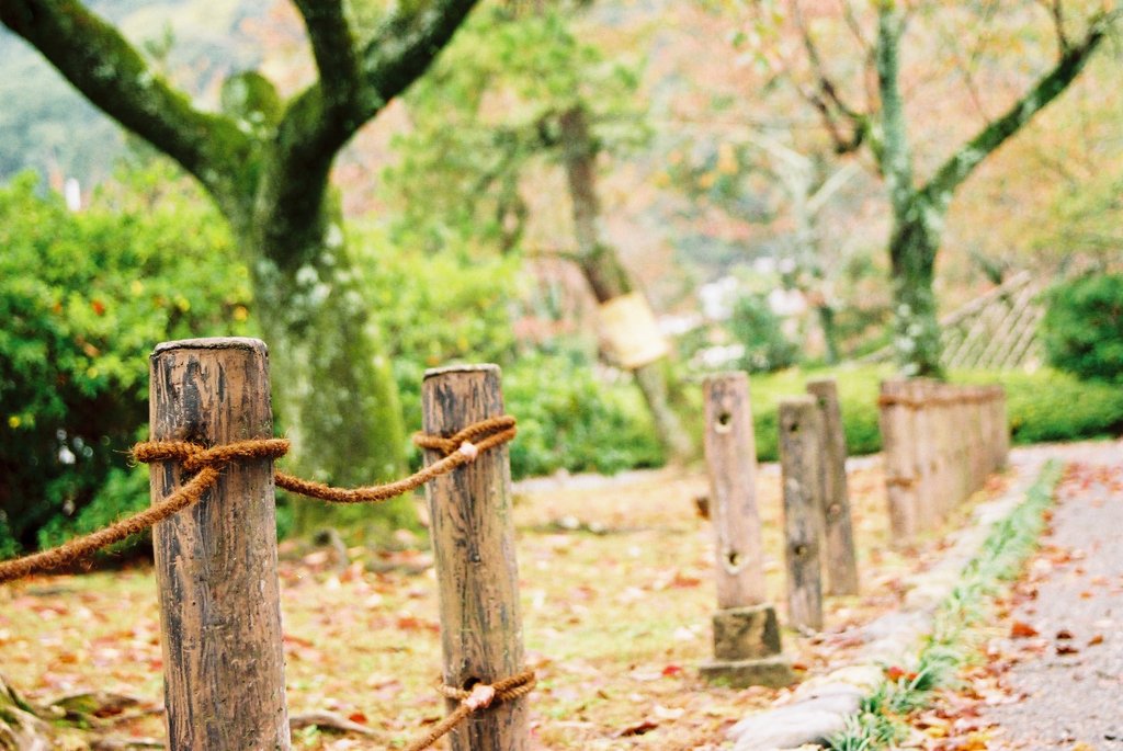 京都～天龍寺