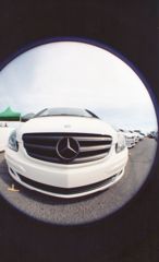 animal benz