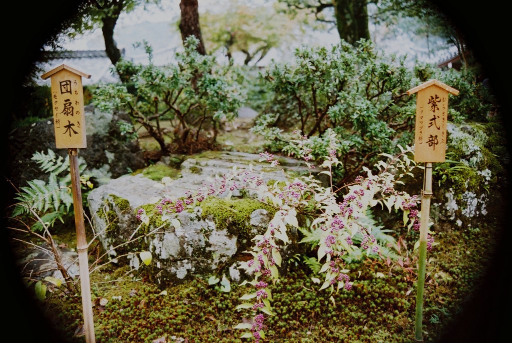 龍安寺