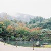 龍安寺？