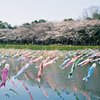 ｳﾖｳﾖ。。。