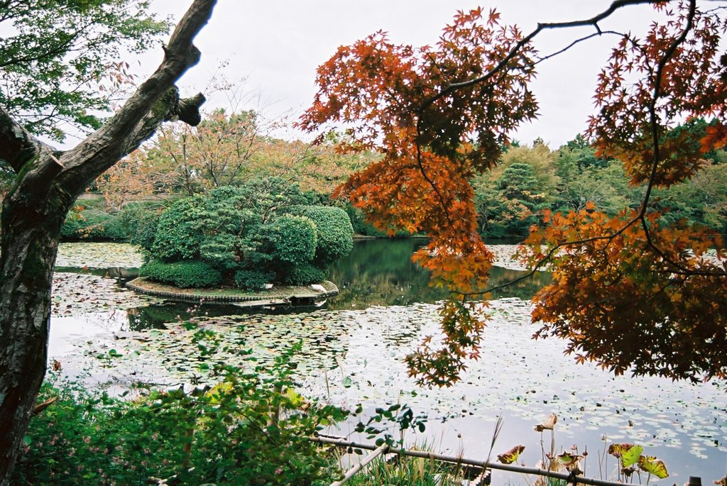 龍安寺　鏡容池