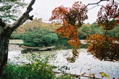 龍安寺　鏡容池