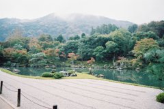 龍安寺。。。？