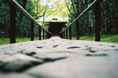 京都～大徳寺