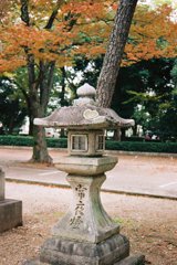 ハートな苔