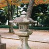 ハートな苔