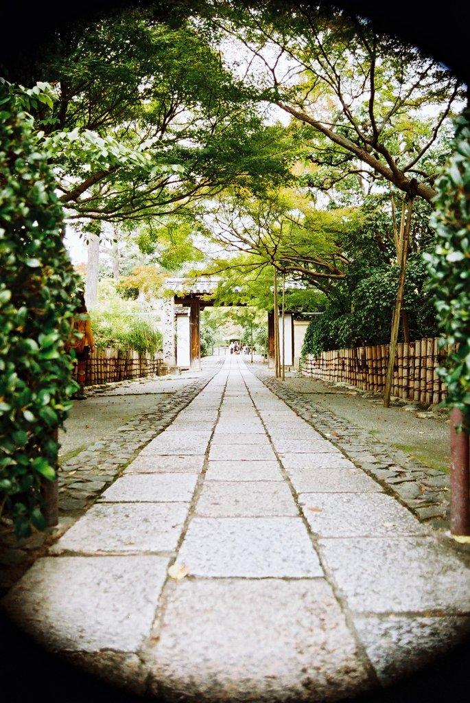 大徳寺
