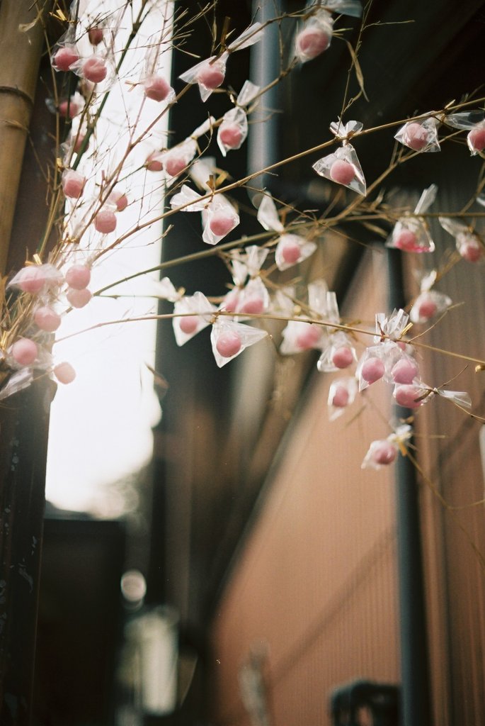 桜飴