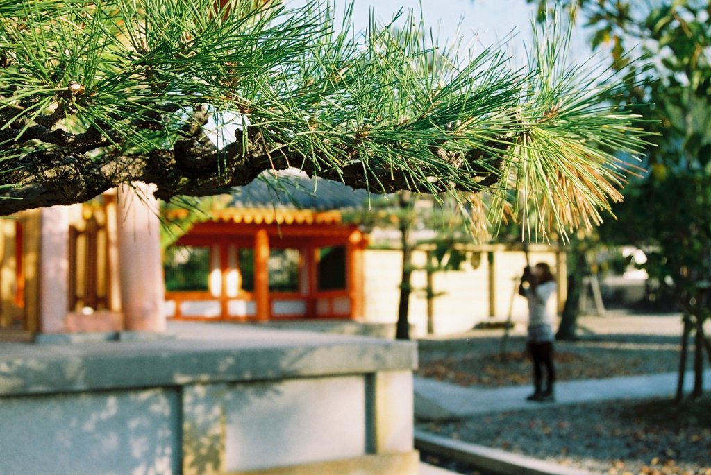京都～三十三間堂