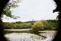 龍安寺