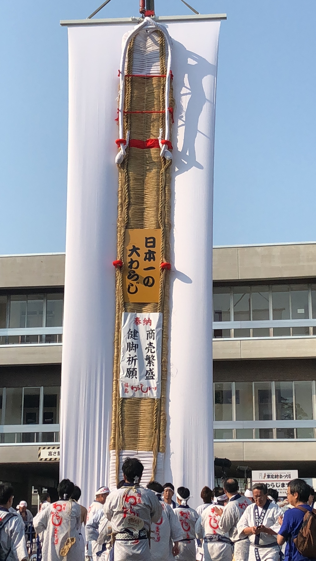 12ｍの貫禄