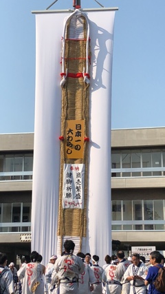12ｍの貫禄
