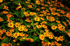 同じ顔か・・・