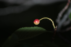 そーっと　のぞく・・・