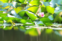 やっとの思い・・・