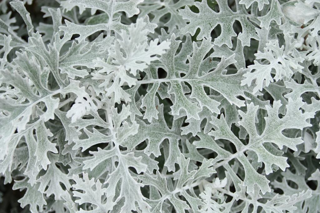 支笏湖畔にて　Ｐｔ２