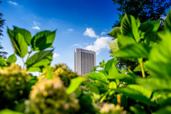 ノボテルホテルin中島公園