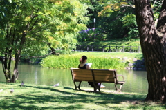 Reading lady