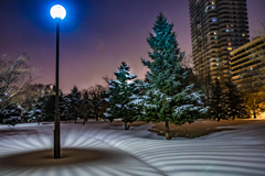 しま模様の雪面