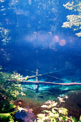 神の子池の神秘